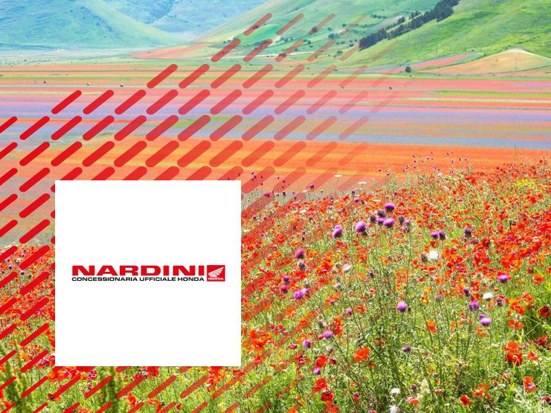 La fioritura di Castelluccio: in moto