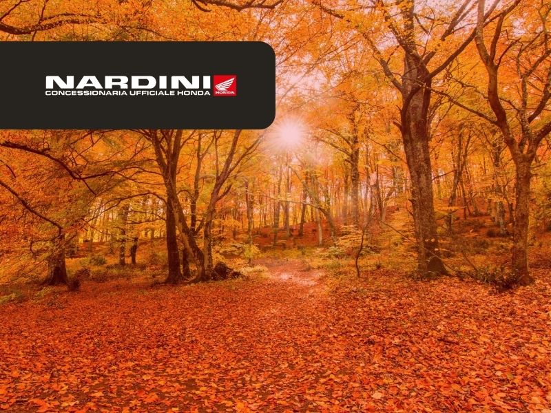 Percorsi naturalistici in moto nel Lazio: le curve e i colori dell’autunno sui Monti Cimini