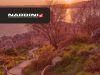 Primavera in moto: il giro dei laghi nel Lazio